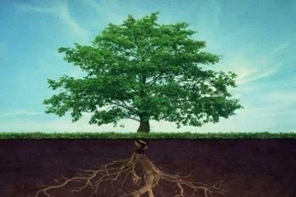 八字入门之判断旺衰的方法 八字入门之判断旺衰的方法