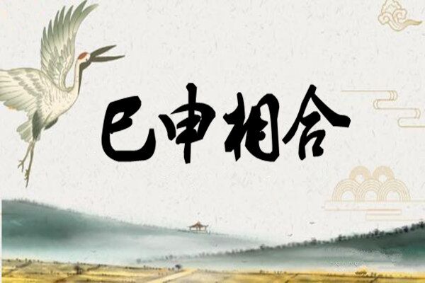 八字十二地支巳火