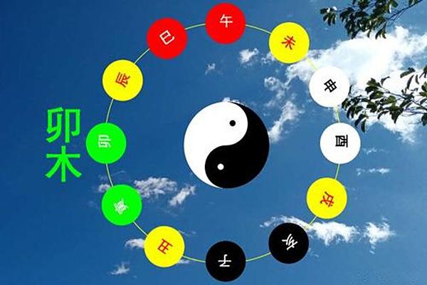 八字十二地支卯木 八字十二地支卯木