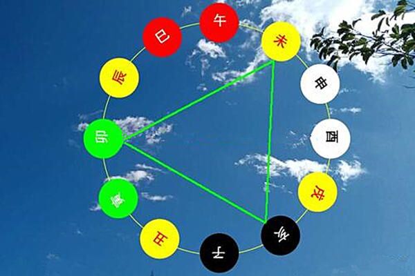 八字十二地支卯木 八字十二地支卯木