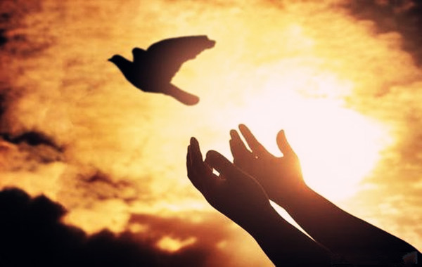 八字格局高的人.jpg 八字格局高的人.jpg