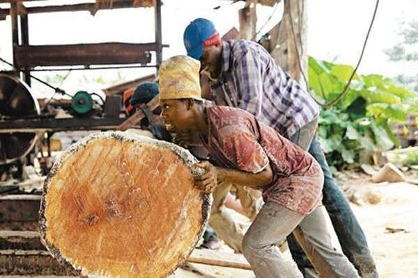 八字入门之五行木的职业类象 八字入门之五行木的职业类象