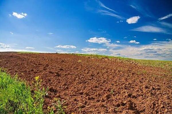 八字十二地支丑土 八字十二地支丑土