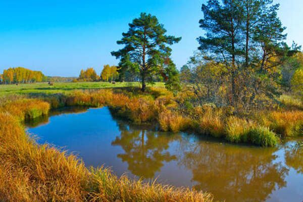 八字十二地支子水 八字十二地支子水