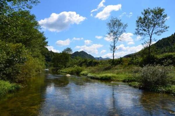 八字十二地支子水 八字十二地支子水