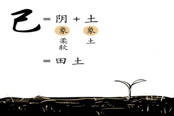 十天干推命取象秘诀之己土