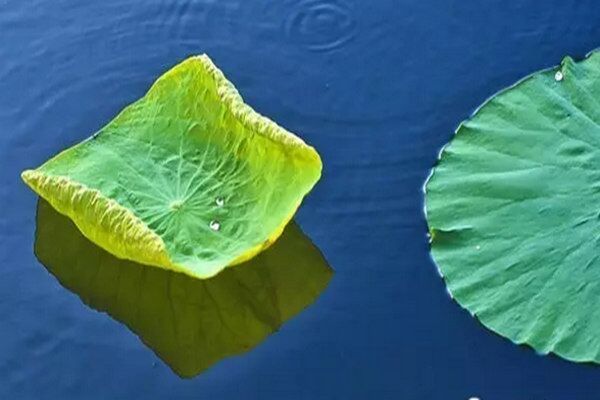 八字五行对应的行业大全 八字五行对应的行业大全