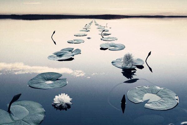 八字七杀在各柱的命理分析 八字七杀在各柱的命理分析