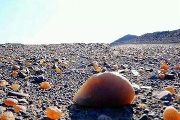 如何从八字中看适合自己的方位 如何从八字中看适合自己的方位