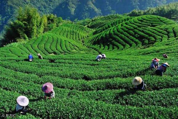 八字的喜用神与忌神详解 八字的喜用神与忌神详解