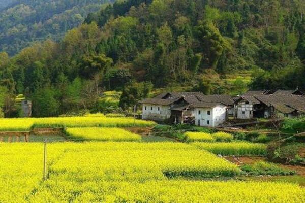 八字的喜用神与忌神详解 八字的喜用神与忌神详解