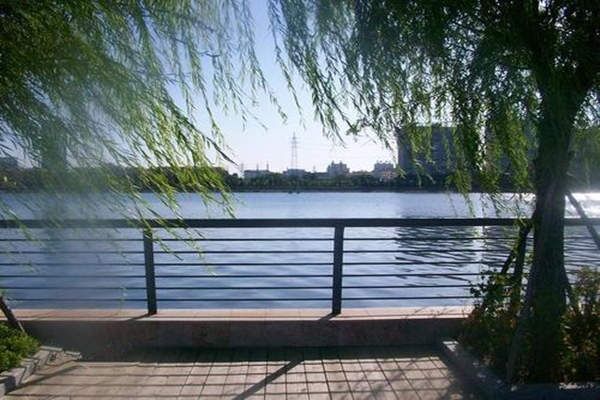 八字到底身旺好还是身弱好