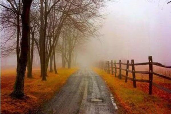 八字身强与身弱的区别 八字身强与身弱的区别