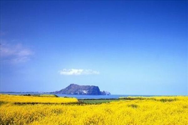 八字干支间的相互作用关系 八字干支间的相互作用关系