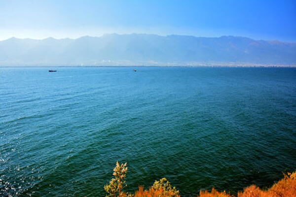 八字干支间的相互作用关系 八字干支间的相互作用关系