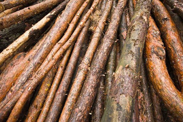 丙火的特征与喜忌 丙火的特征与喜忌