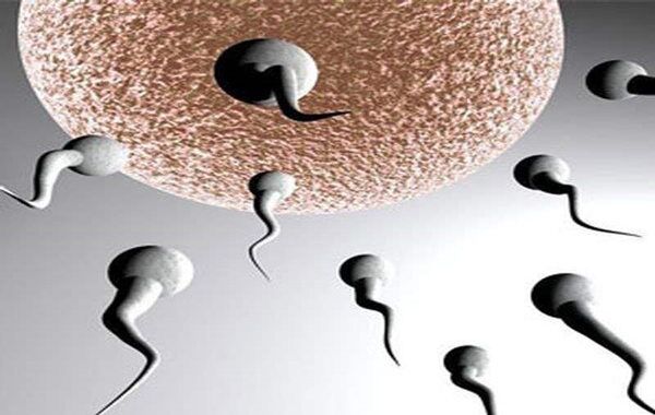 八字断生男生女口诀 八字断生男生女口诀