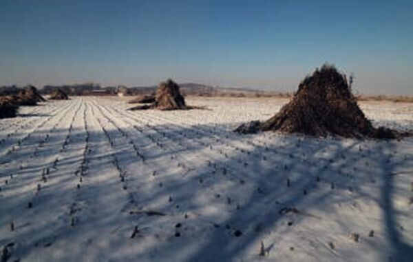 八字神煞大耗 八字神煞大耗