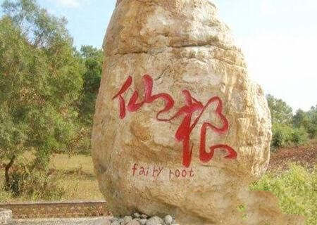 八字带仙根的人有什么特征 八字带仙根的人有什么特征