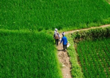 八字断职业口诀 八字断职业口诀