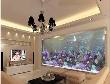 室内摆放鱼缸的六大风水禁忌