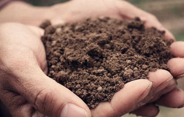 八字缺土怎么补 八字缺土怎么补