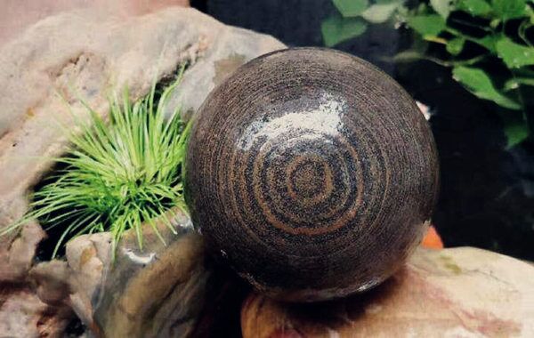 贪财坏印 贪财坏印