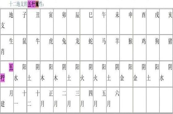 地支五行藏干气数详解 地支五行藏干气数详解