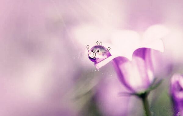 五行生克乘侮 五行生克乘侮