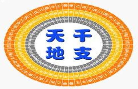 天干地支关系论 天干地支关系论