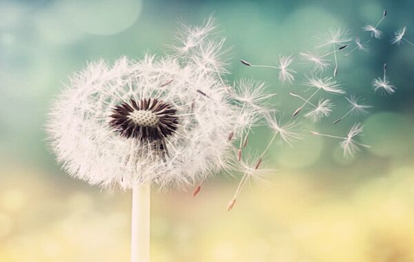 八字月柱的含义 八字月柱的含义