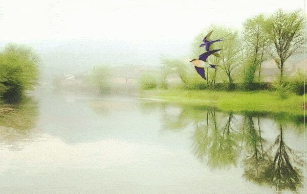 八字月柱的含义 八字月柱的含义