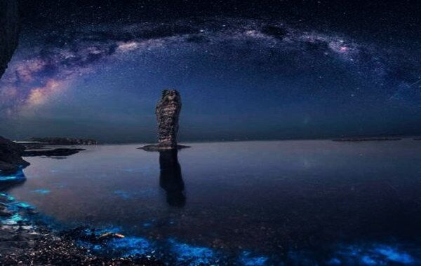 八字日柱的含义