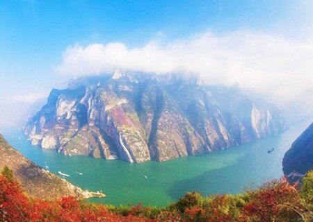 八字解析壬丁合木