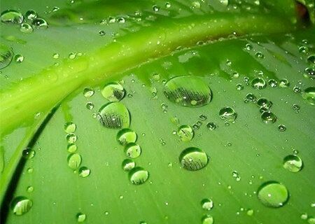 八字解析戊癸合火 八字解析戊癸合火