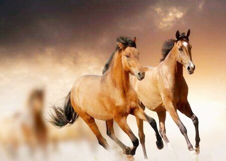 八字神煞驿马是什么意思 八字神煞驿马是什么意思