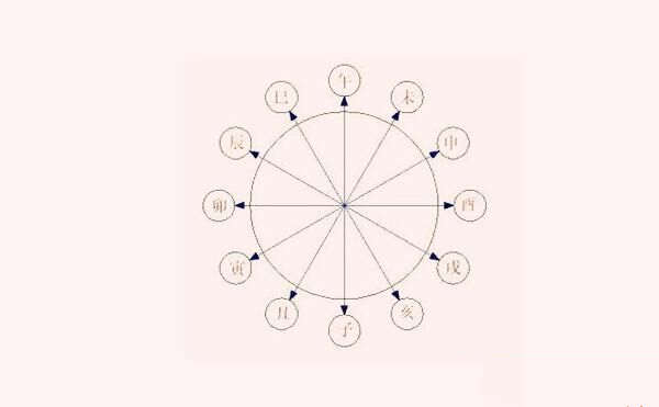 地支六冲与疾病