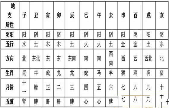 地支五行解析 地支五行解析
