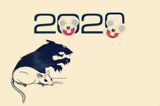 2020年出生的人命运如何