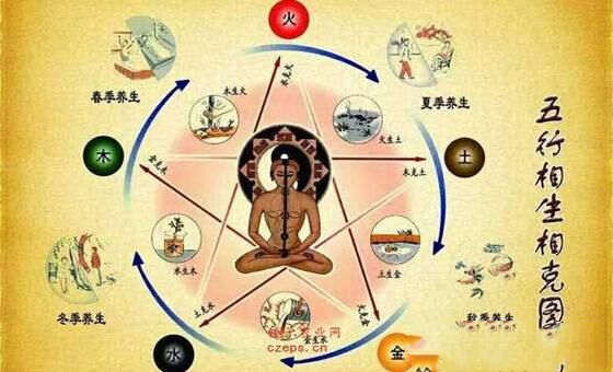 生肖和五行之间的关系 生肖和五行之间的关系