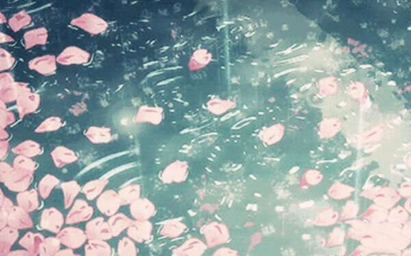 什么是桃花劫 什么是桃花劫