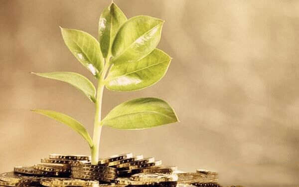 八字偏印与坐支关系