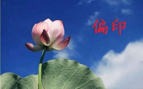 什么是偏印透干