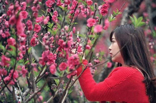 什么样的八字有桃花 什么样的八字有桃花