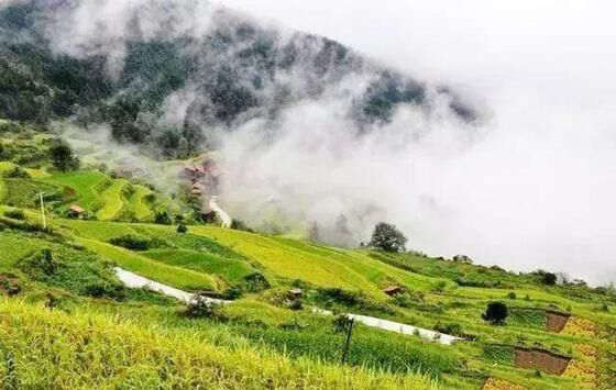 八字旺衰是什么意思