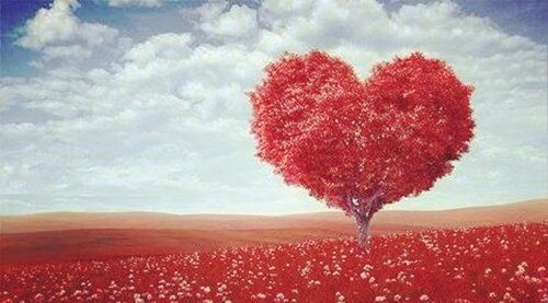 乙木生于各月详解 乙木生于各月详解