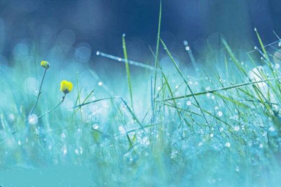 癸水女命特征 癸水女命特征