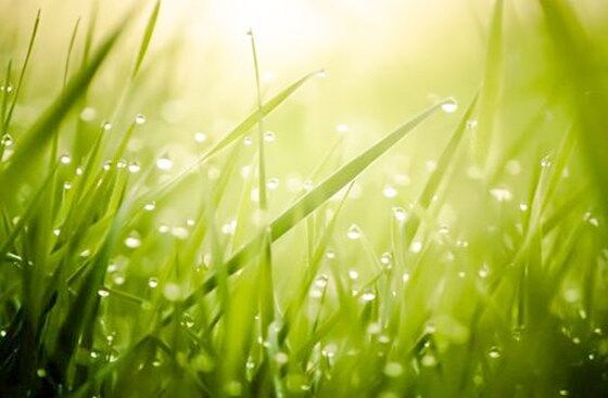 癸水命不是普通人 癸水命不是普通人