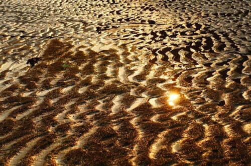 男孩沙中金命好不好