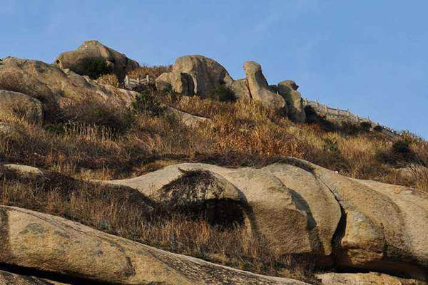 天干地支一气格详解.jpg 天干地支一气格详解.jpg